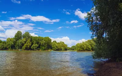 🚌 Vajdasági körutazás Tiszavirág Fesztivállal fűszerezve 🦋