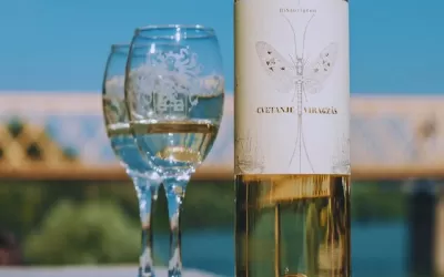 🚌 Vajdasági körutazás Tiszavirág Fesztivállal fűszerezve 🦋