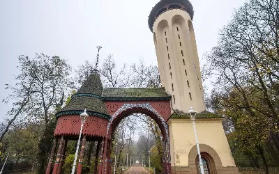 🚌 Vajdasági körutazás Tiszavirág Fesztivállal fűszerezve 🦋